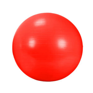 AGB 434RD Rehabilitační míč GYM BALL 55 cm