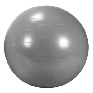 AGB 434SL Rehabilitační míč GYM BALL 75