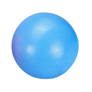 PSB 434BL Rehabilitační míč AEROBIC 20 cm
